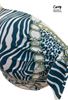 Picture of CURVY GIRL BIKINI TUMMY CONTROL HIGH WAISTED